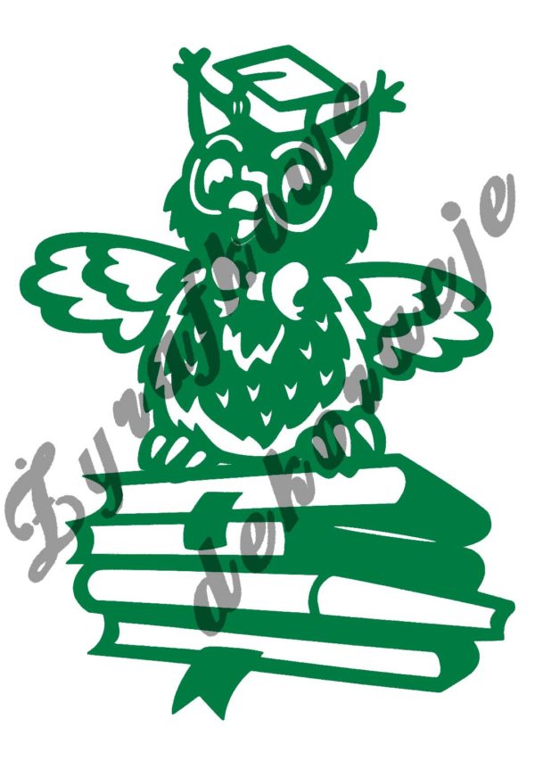 sowa z biretem na książkach zielona