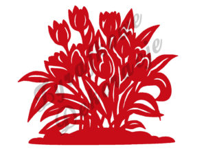Tulipany czerwony